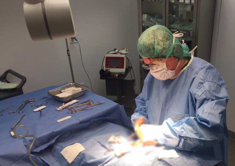 Carousel Slide 5: Veterinary surgery for dogs and cats